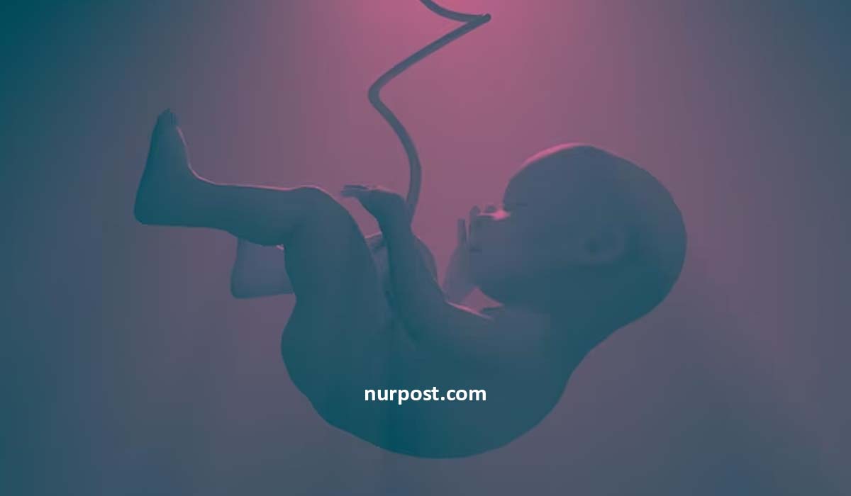Baby movement in womb
