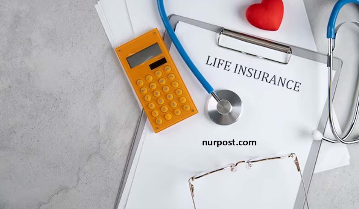 Term Vs. Whole Life Insurance