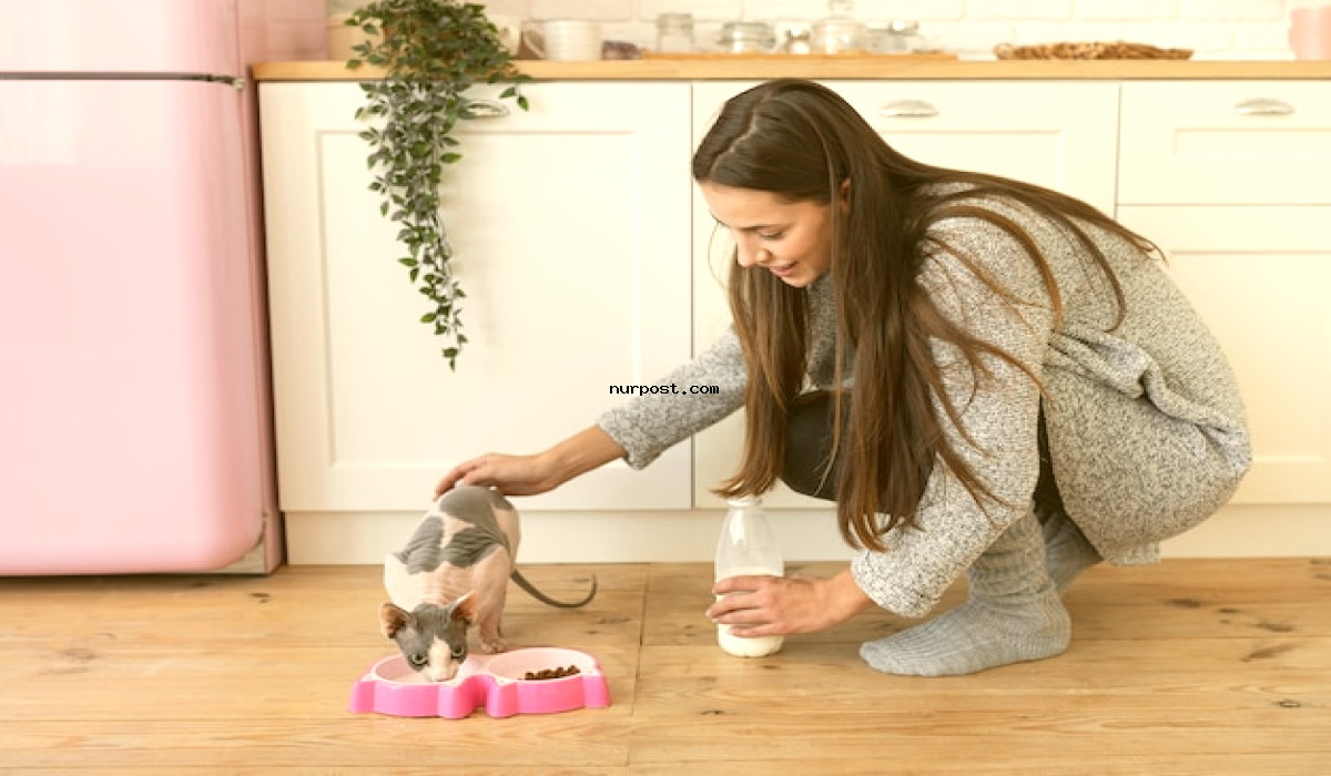 2023 Pet Care Tips: How to Take Care of Your Pet Using the Latest Tricks