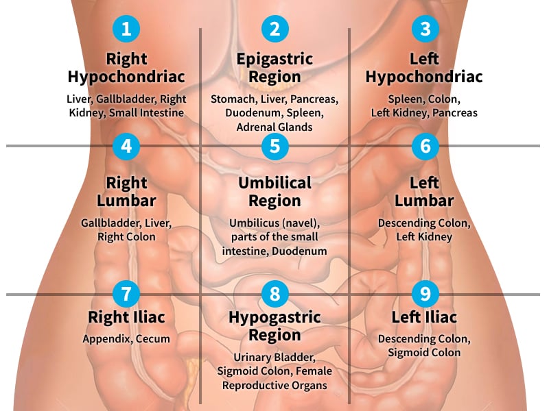 Understanding Right Side Abdominal Pain: Causes, Symptoms, and Treatment Options