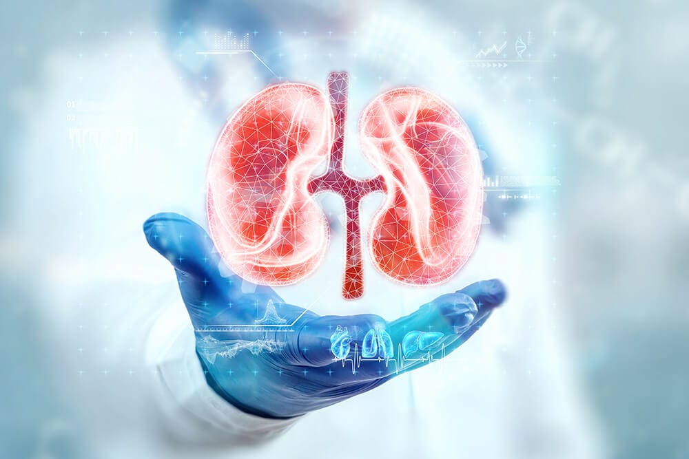 Simple Ways to Promote Kidney Health Naturally: Expert Tips Revealed