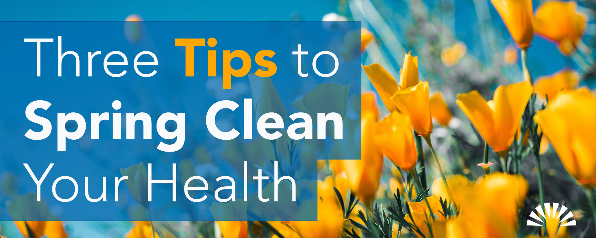 Blossoming into Spring: Essential Health and Wellness Tips for a Renewed You