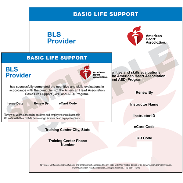 Basic Life Support Certification vs CPR: Understanding Key Differences Basic Life Support Certification vs CPR: Understanding Key Differences